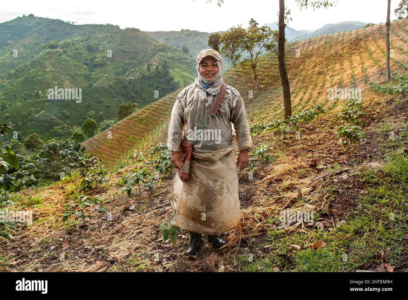 Travailleurs de la ferme de café, Colombie Banque D'Images