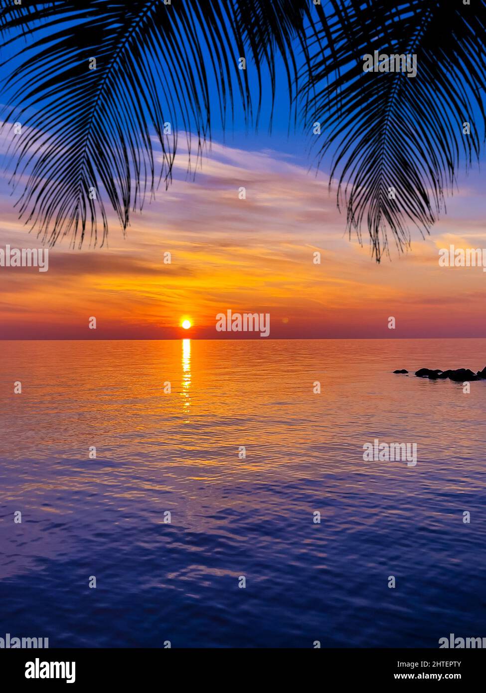 Beau coucher de soleil. Silhouettes de palmiers sombres sur fond de coucher de soleil tropical coloré Banque D'Images