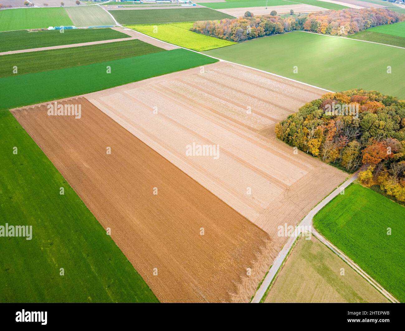 Vue aérienne des champs agricoles. Champs des terres agricoles. Photo de drone Banque D'Images