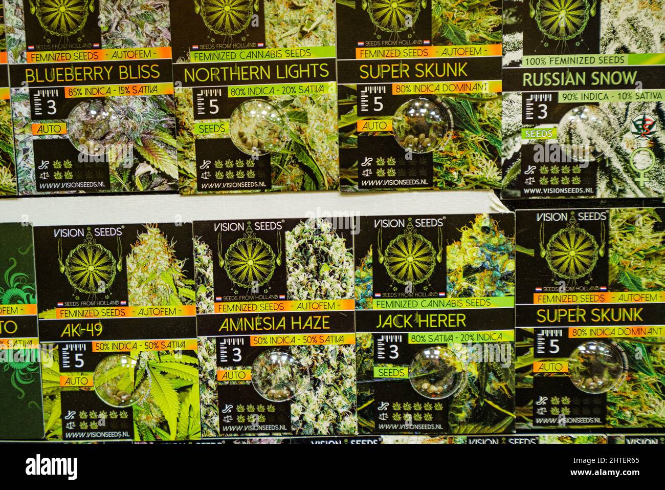 Amsterdam, pays-Bas - 16 novembre 2021 : magasin de semences de cannabis à Amsterdam, pays-Bas.La marijuana peut être légalement vendue aux pays-Bas pour une co personnelle Banque D'Images