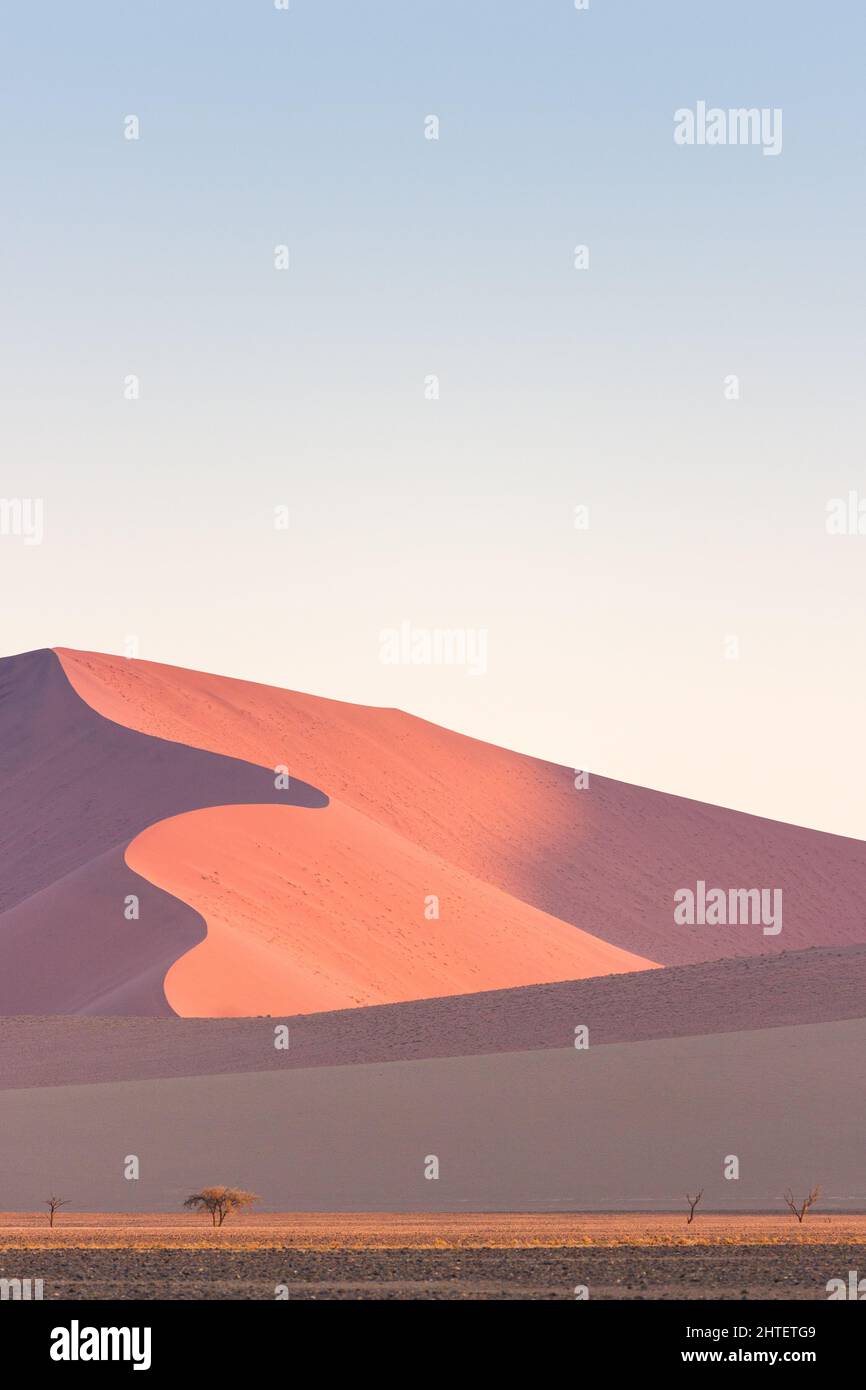 Dune 45 dans le désert de Namib Naukluft au lever du soleil, Namibie, Afrique australe Banque D'Images