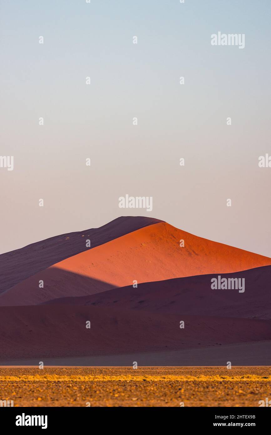 Dune 45 dans le désert de Namib Naukluft au lever du soleil, Namibie, Afrique australe Banque D'Images