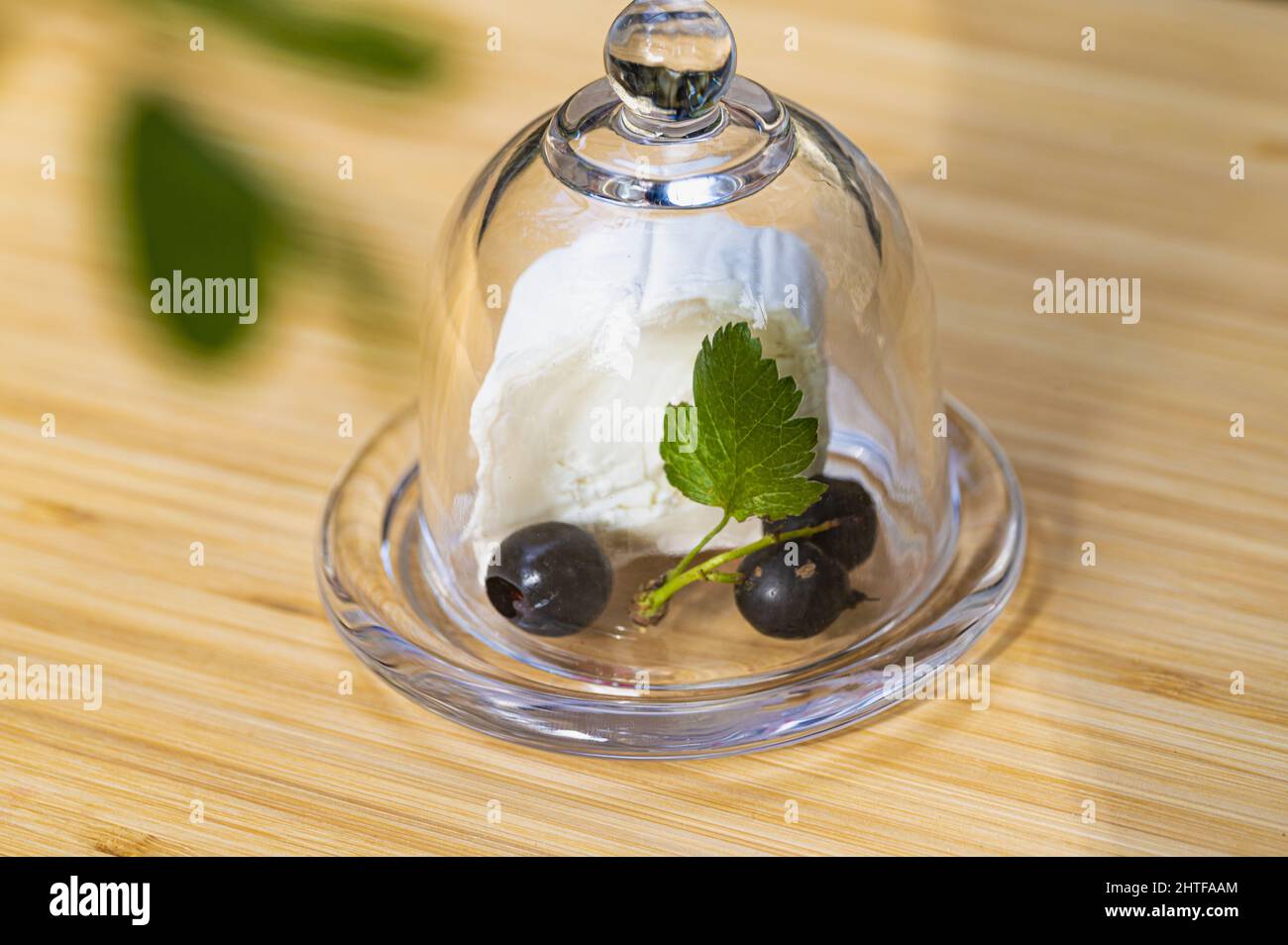 Vue rapprochée du fromage blanc de chèvre avec olives et herbes sous une couverture en verre sur la table en bois Banque D'Images