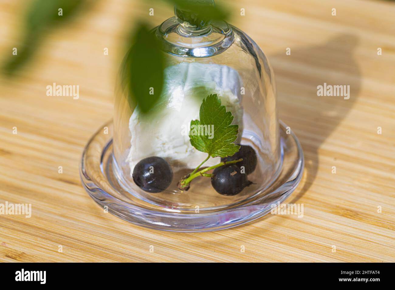 Vue rapprochée du fromage blanc de chèvre avec olives et herbes sous une couverture en verre sur la table en bois Banque D'Images