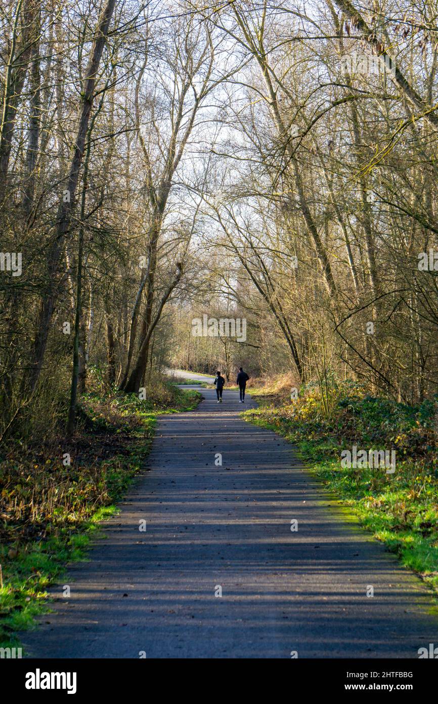 Chemin le long d'un chemin à travers la forêt Banque D'Images