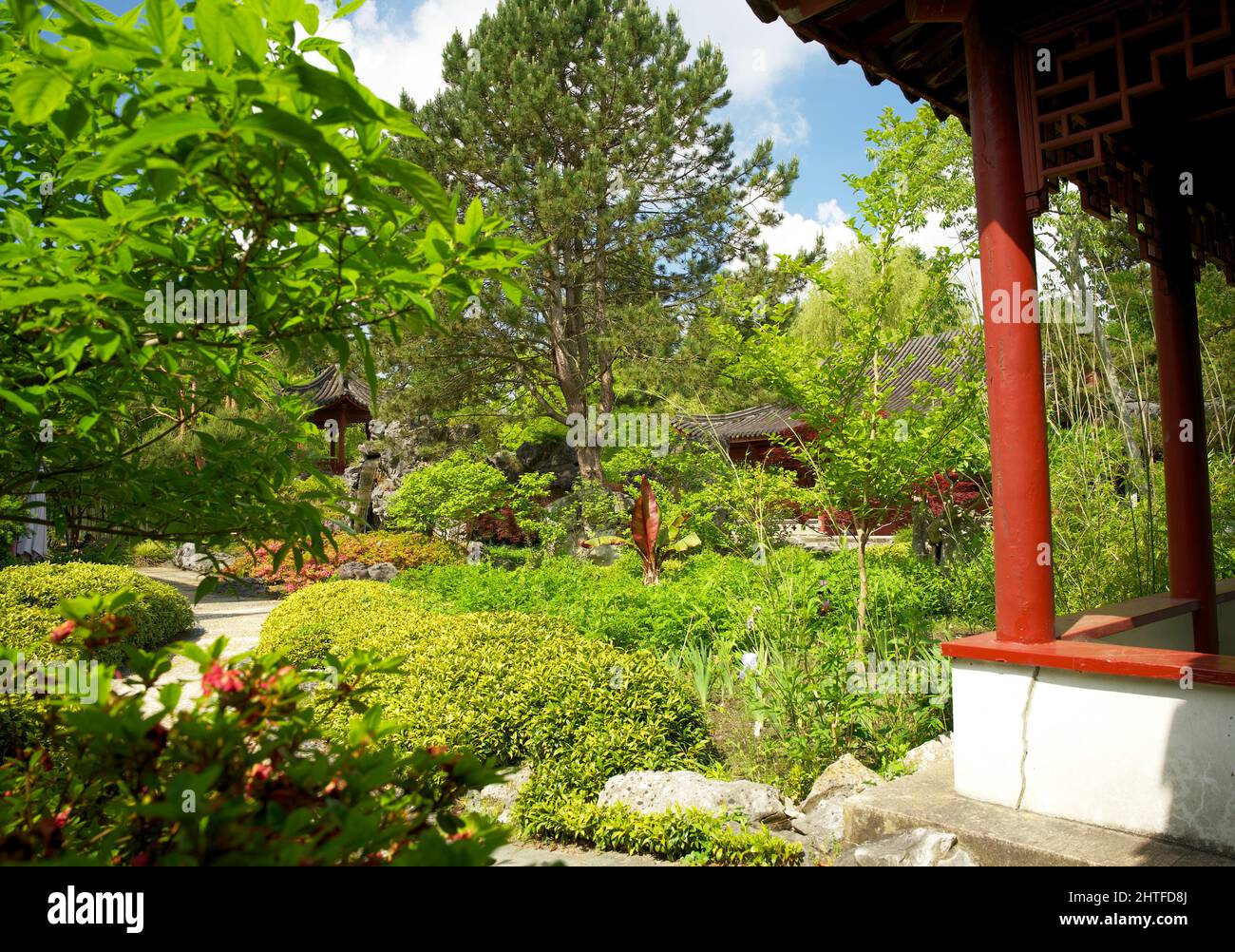 Jardin chinois dans l'hortus botanicus de Groningen au début de l'été Banque D'Images