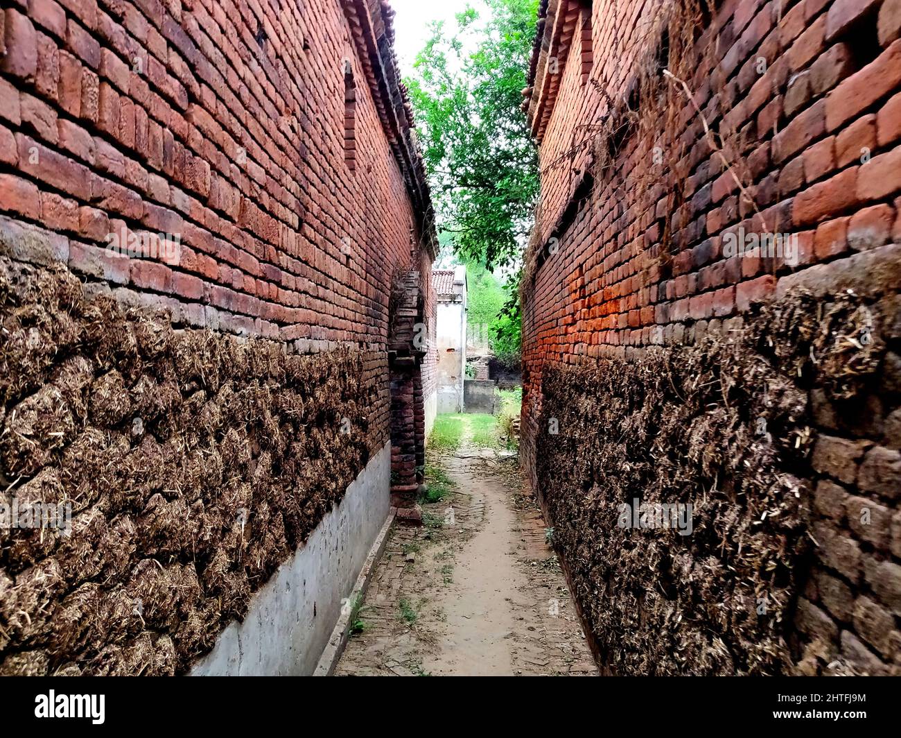 Photo des gâteaux Cow Dung sur les murs de briques des bâtiments, sur un chemin étroit en Inde Banque D'Images