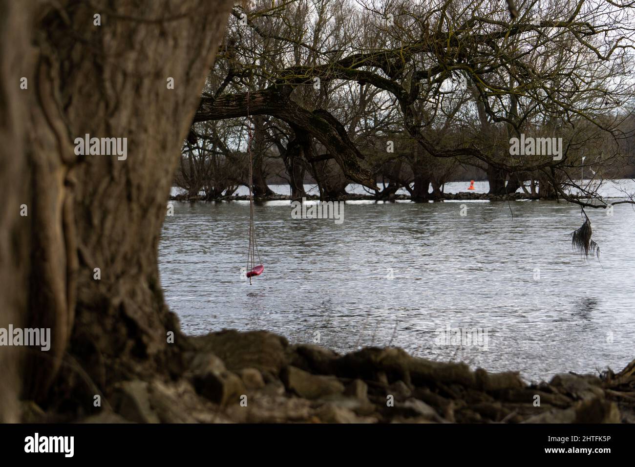 Faites basculer l'arbre sur l'eau Banque D'Images