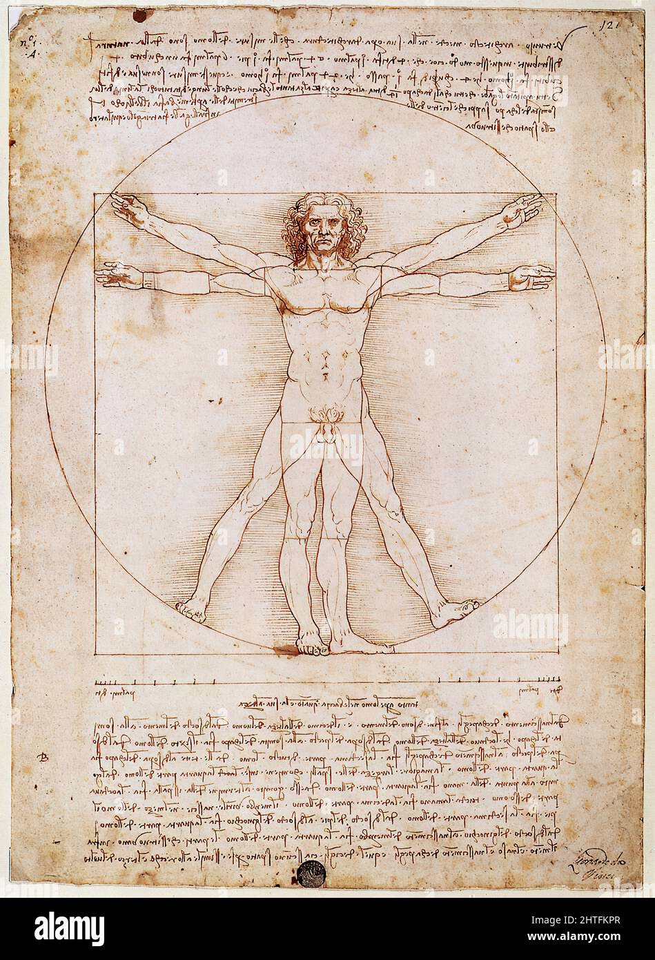 Leonardo Da Vinci - Vitruvian études de l'homme proportions de Vitruvius Architectura 1492 Banque D'Images
