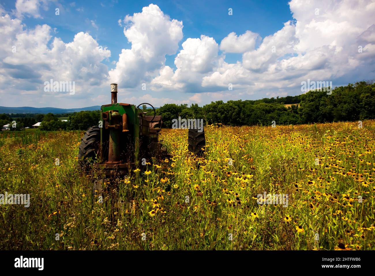 Vieux tracteur dans un champ Banque D'Images
