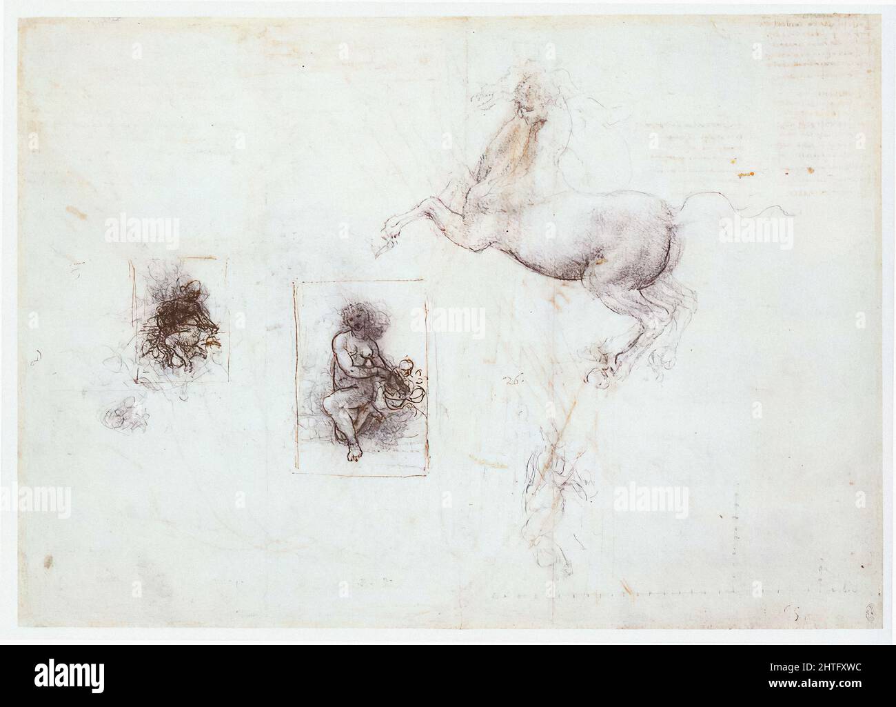 Leonardo Da Vinci - Etudes Leda et Cheval 1503 Banque D'Images