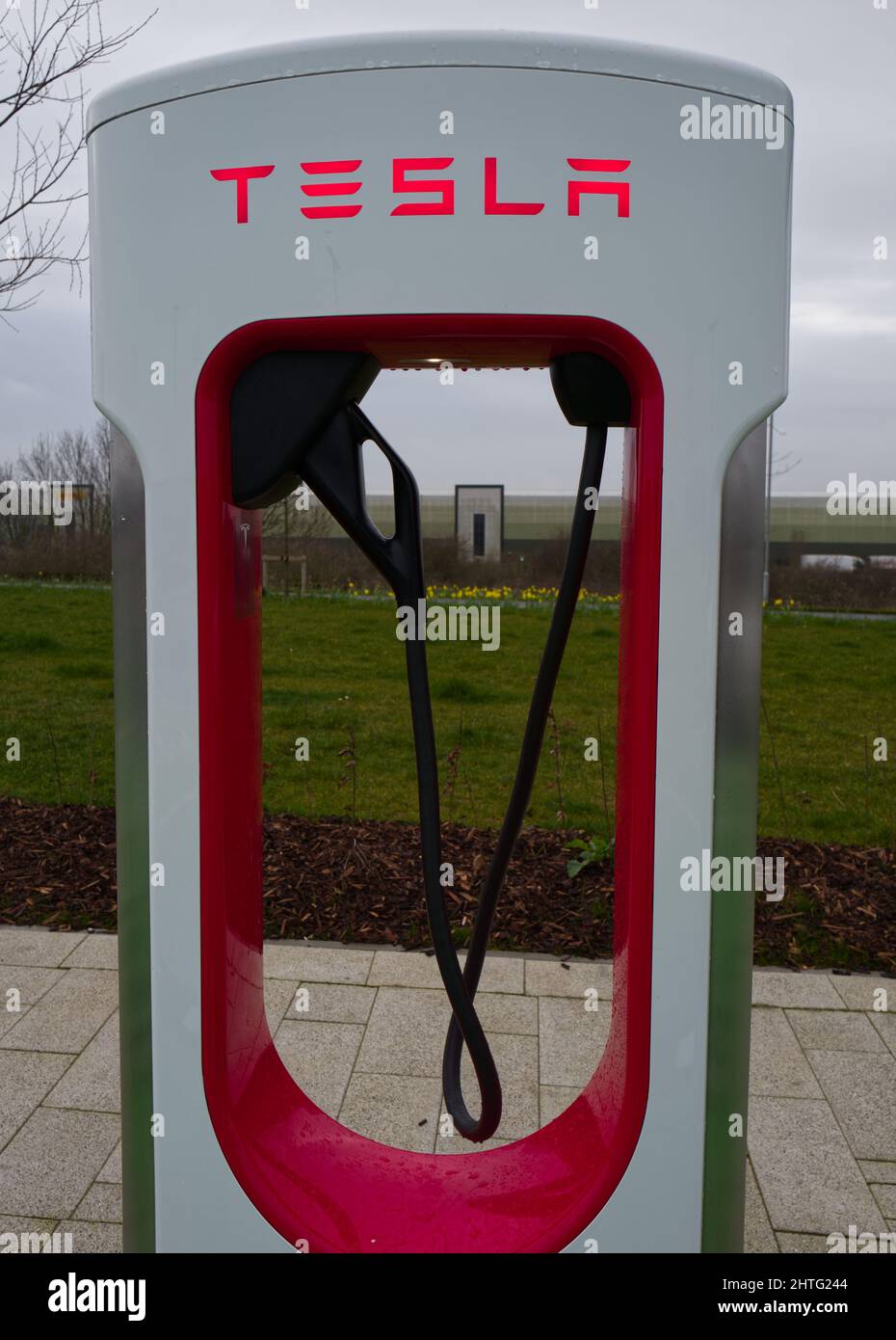 Points de chargement pour voiture électrique (EV BEV Hybrid) à la station de service de l'autoroute Rugby sur l'autoroute M6 Banque D'Images
