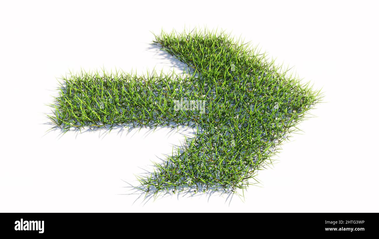 Concept ou conceptuel vert été pelouse herbe symbole forme isolé fond blanc, signalisation routière.métaphore de l'illustration 3d pour la navigation, la stratégie Banque D'Images