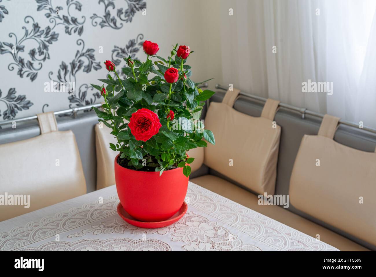 Rose rouge dans un pot se tient sur la table dans la chambre Banque D'Images