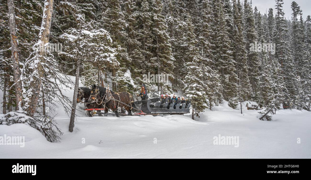Lake Louise, Alberta, Canada – le 27 février 2022 : un groupe de personnes se balade dans un traîneau tiré par un cheval sur les rives du lac Louise gelé pendant une chute de neige Banque D'Images