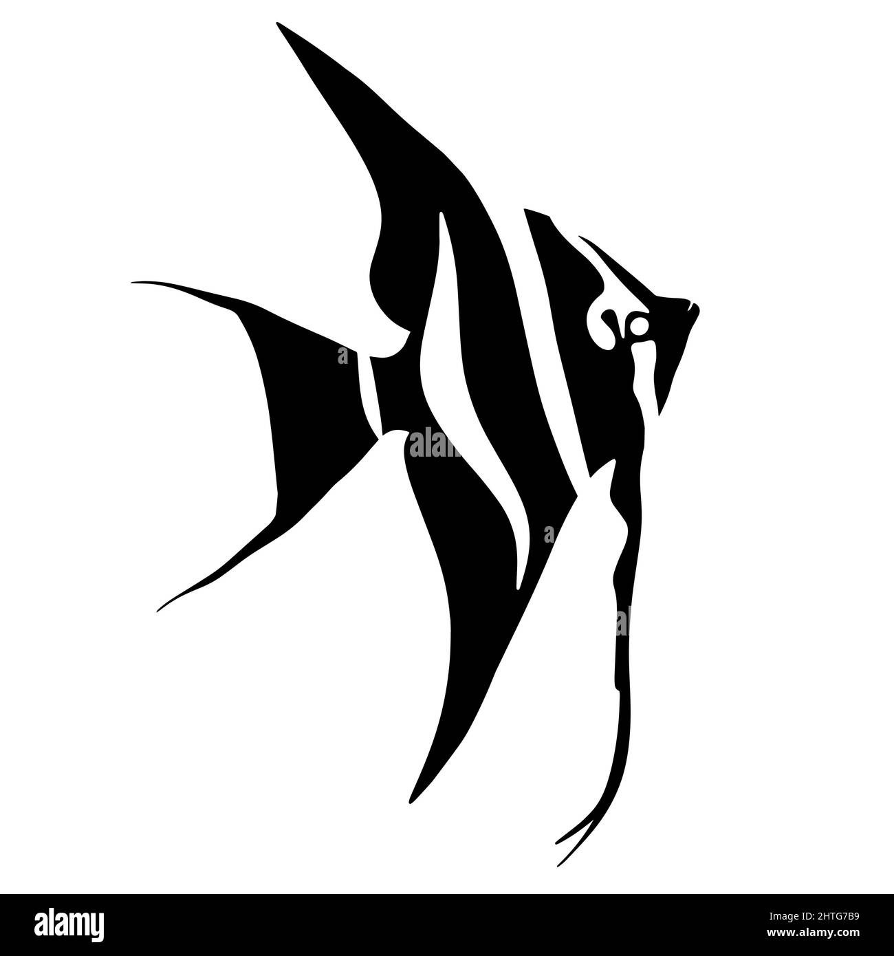 Illustration d'un scalaire. Aquarium poisson tropical. Un animal d'une rivière ou d'un lac Banque D'Images