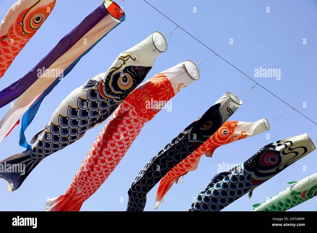 Un ciel bleu clair et un ruisseau de poissons Koi qui se balancent dans le vent Banque D'Images