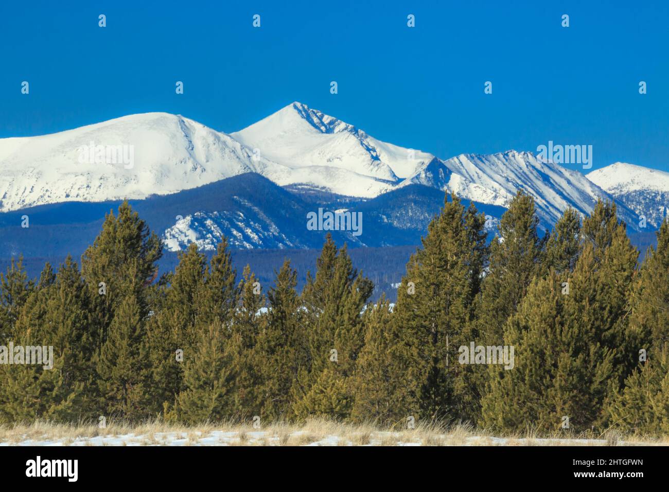 la chèvre de l'est (à gauche) et la chèvre de l'ouest (à droite) culmine dans l'aire de répartition de l'anaconda en hiver près de l'anaconda, montana Banque D'Images
