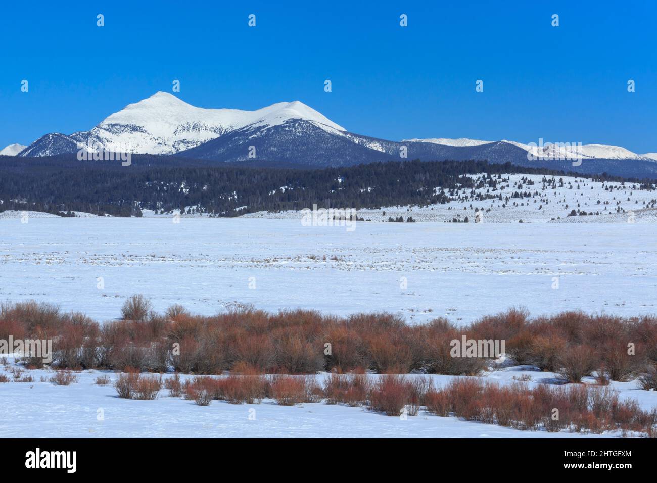 la chèvre de l'ouest et les crêtes de chèvre de l'est dans l'aire de répartition de l'anaconda au-dessus de la vallée du grand trou en hiver près de la sagesse, montana Banque D'Images