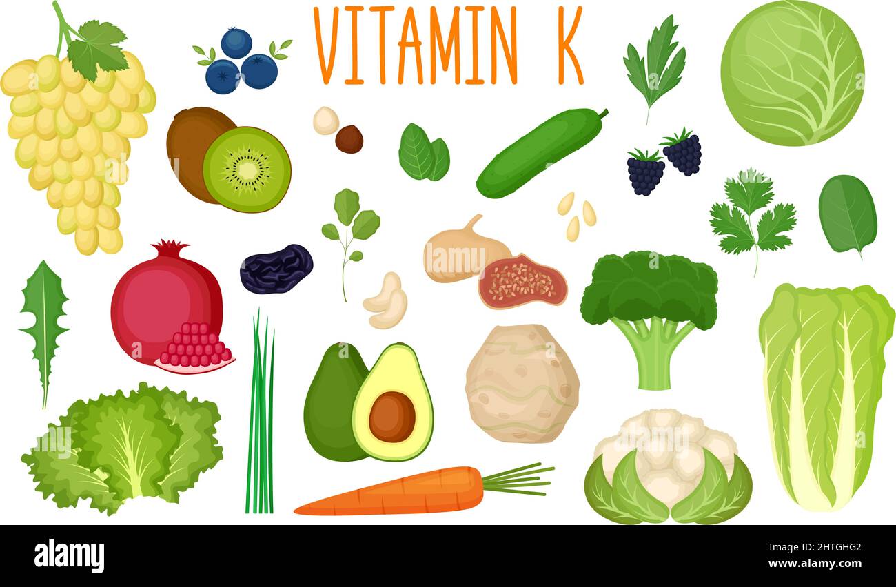 Ensemble de sources de vitamine K. Une alimentation saine. Collection de légumes, de fruits, de légumes verts et de noix enrichissement en vitamine C. illustration vectorielle Illustration de Vecteur