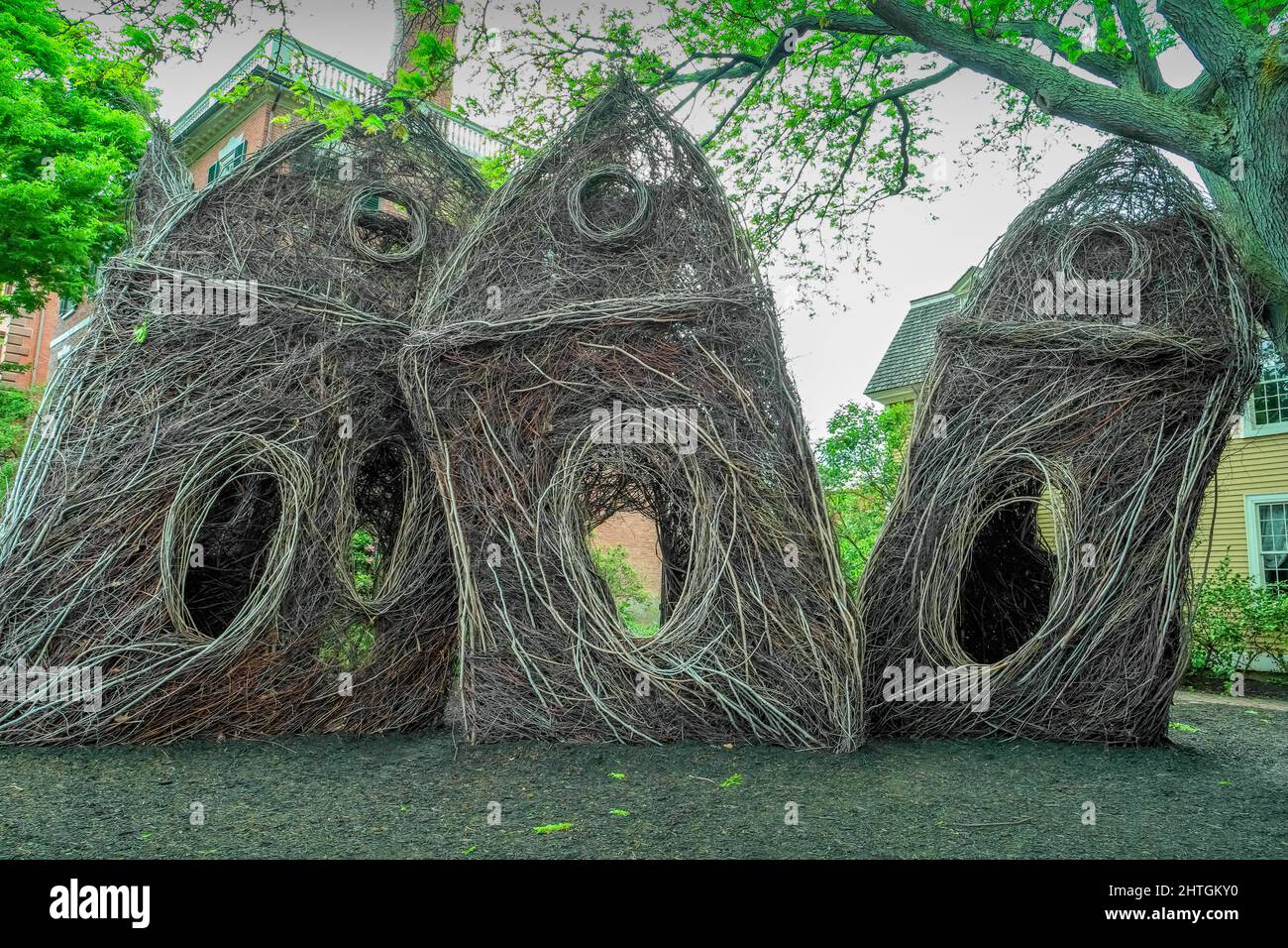 Installation artistique « What Birds Know » de Patrick Dougherty à Salem, Massachusetts, États-Unis en 2016. Banque D'Images