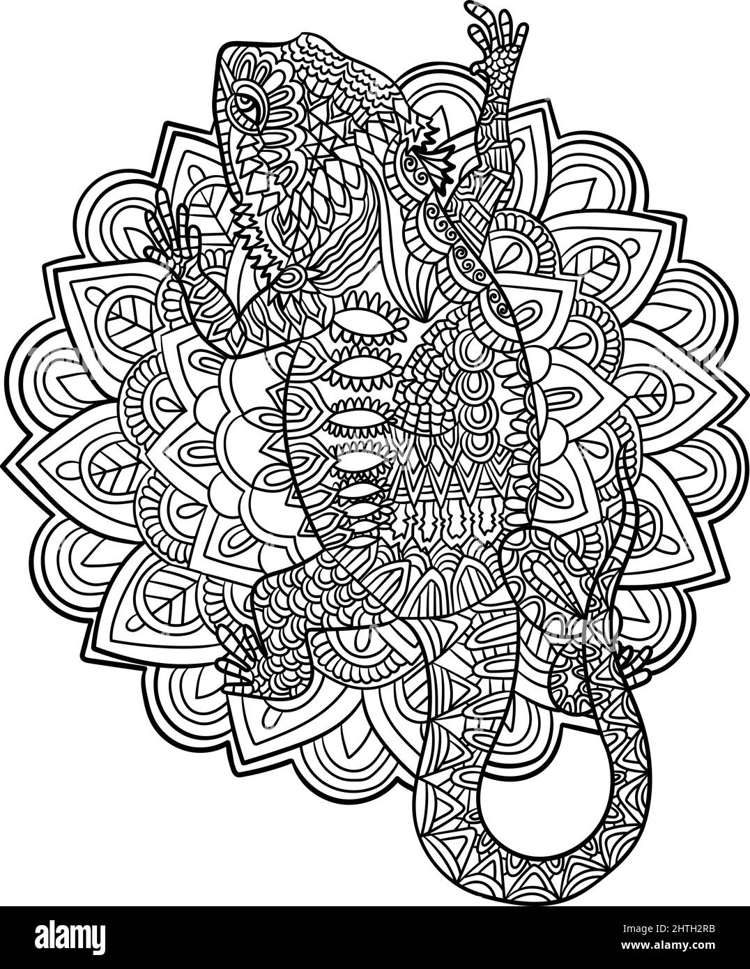 Pages de coloriage de Mandala Dragon barbu pour adultes Illustration de Vecteur
