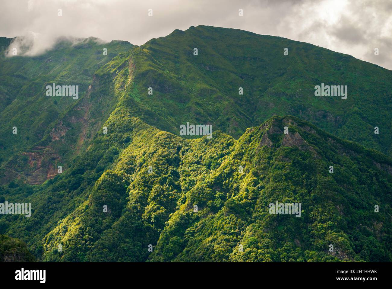 Crêtes de montagne vertes de l'île de Madère par jour nuageux Banque D'Images