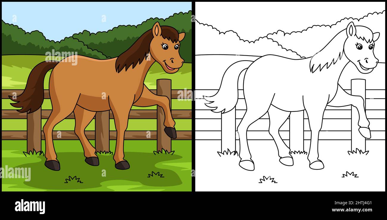 Page de coloriage de cheval Illustration colorée Illustration de Vecteur