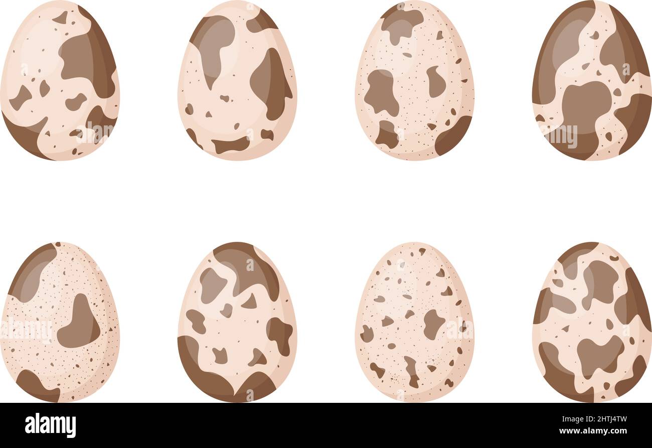 Ensemble d'œufs de caille, illustration vectorielle Illustration de Vecteur