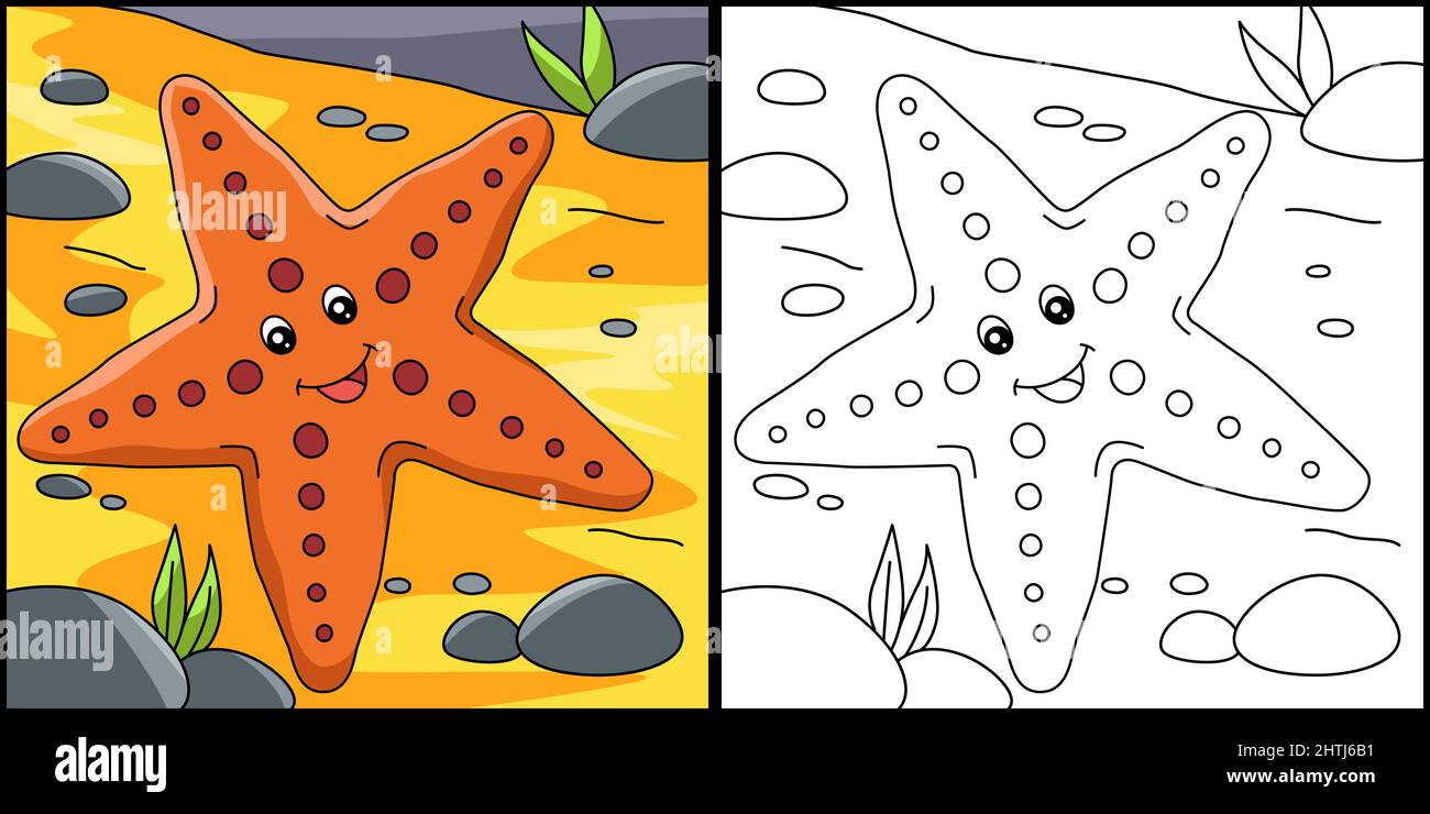Illustration de la page de coloriage étoile de mer Image Vectorielle