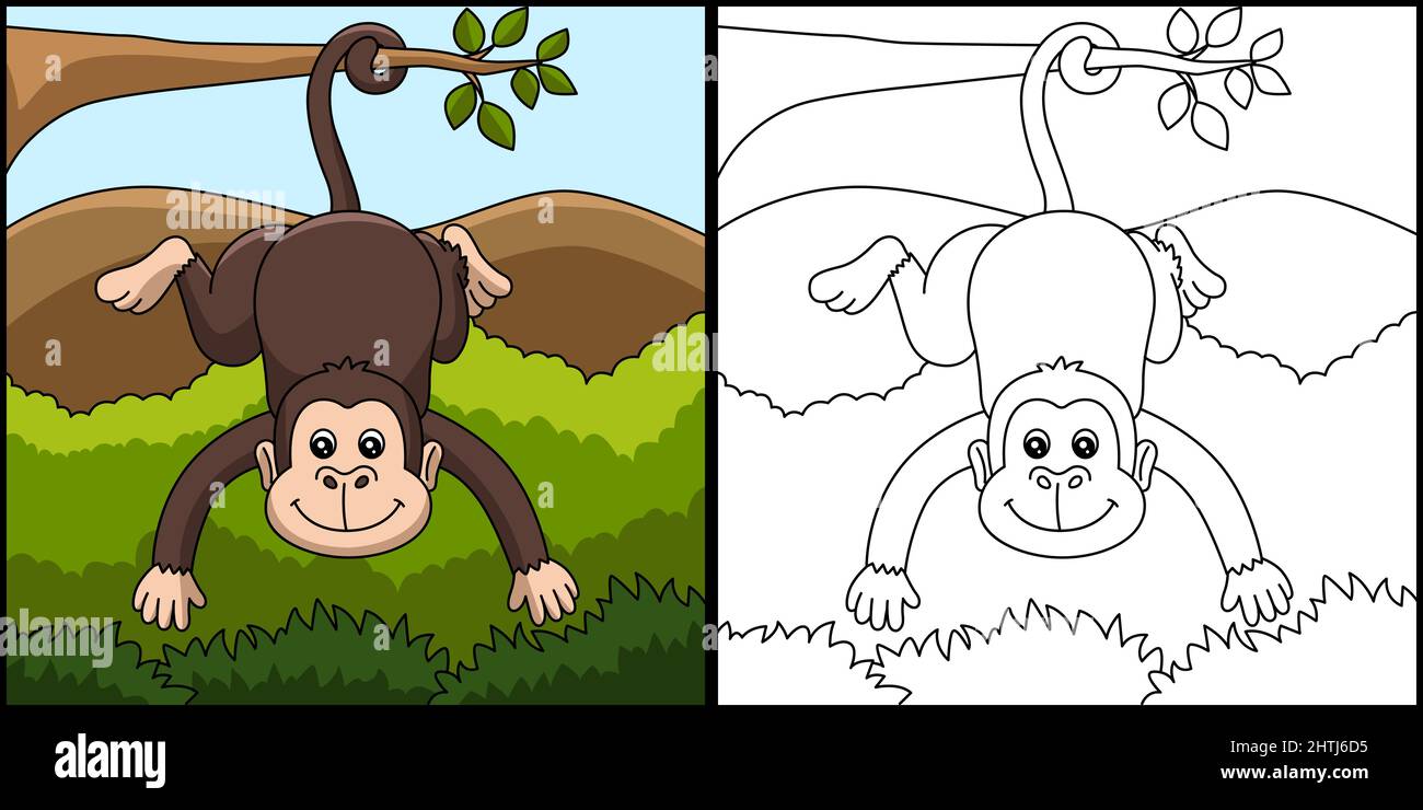 Page de coloriage Monkey Illustration colorée Illustration de Vecteur