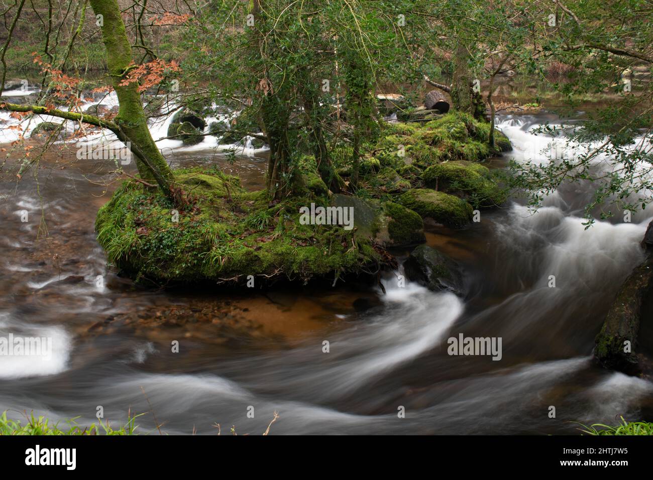 Photo à vitesse d'obturation lente d'une rivière tourbillonnante qui traverse le parc national de Dartmoor au pont de Fingle. La rivière serpente autour d'une petite île Banque D'Images