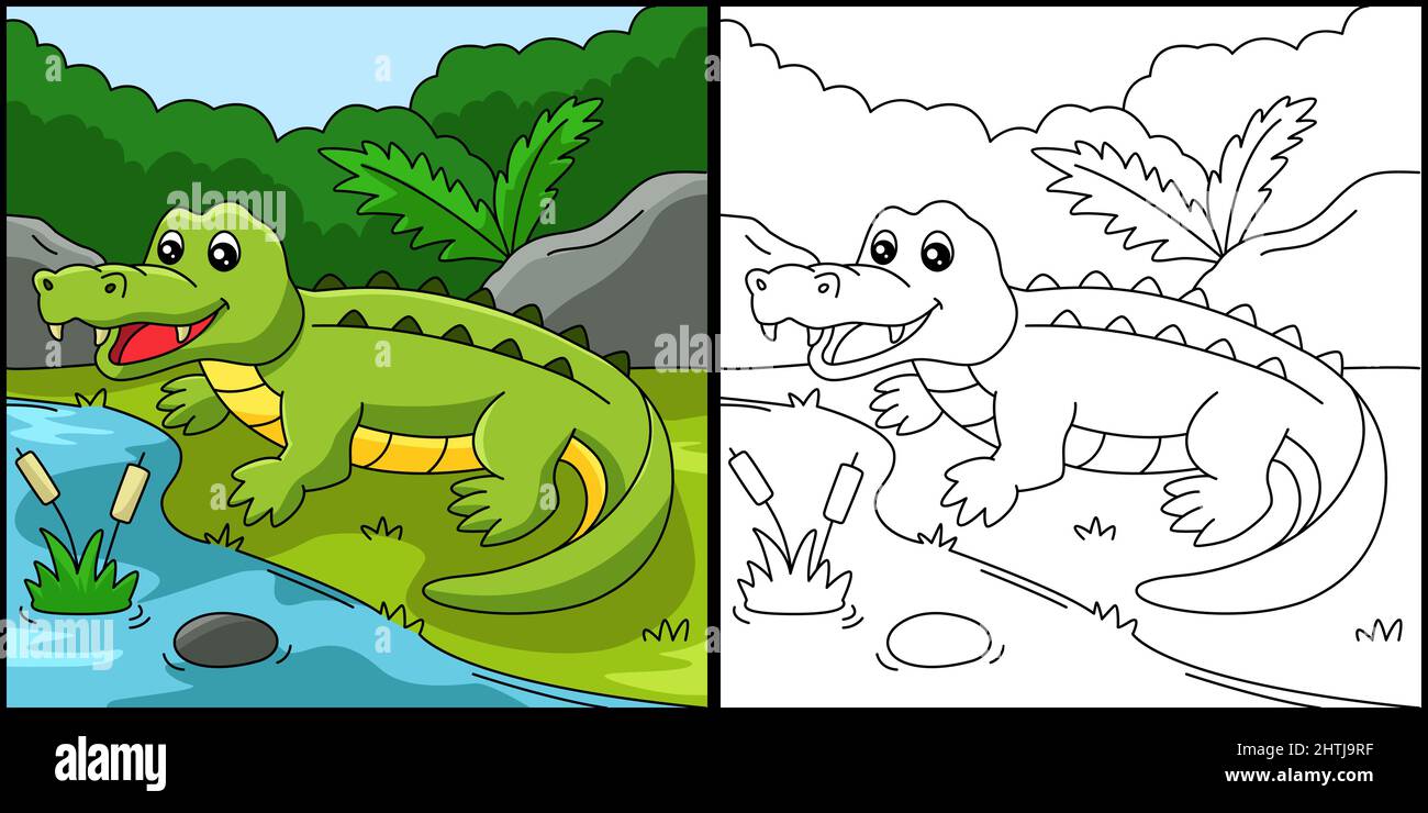 Illustration couleur page crocodile Illustration de Vecteur