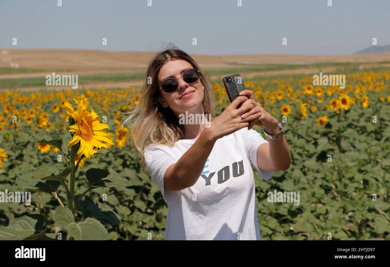 Une femme prenant des photos dans le champ de tournesol avec son téléphone portable. Elle porte des lunettes. Elle est heureuse de prendre un selfie. Banque D'Images