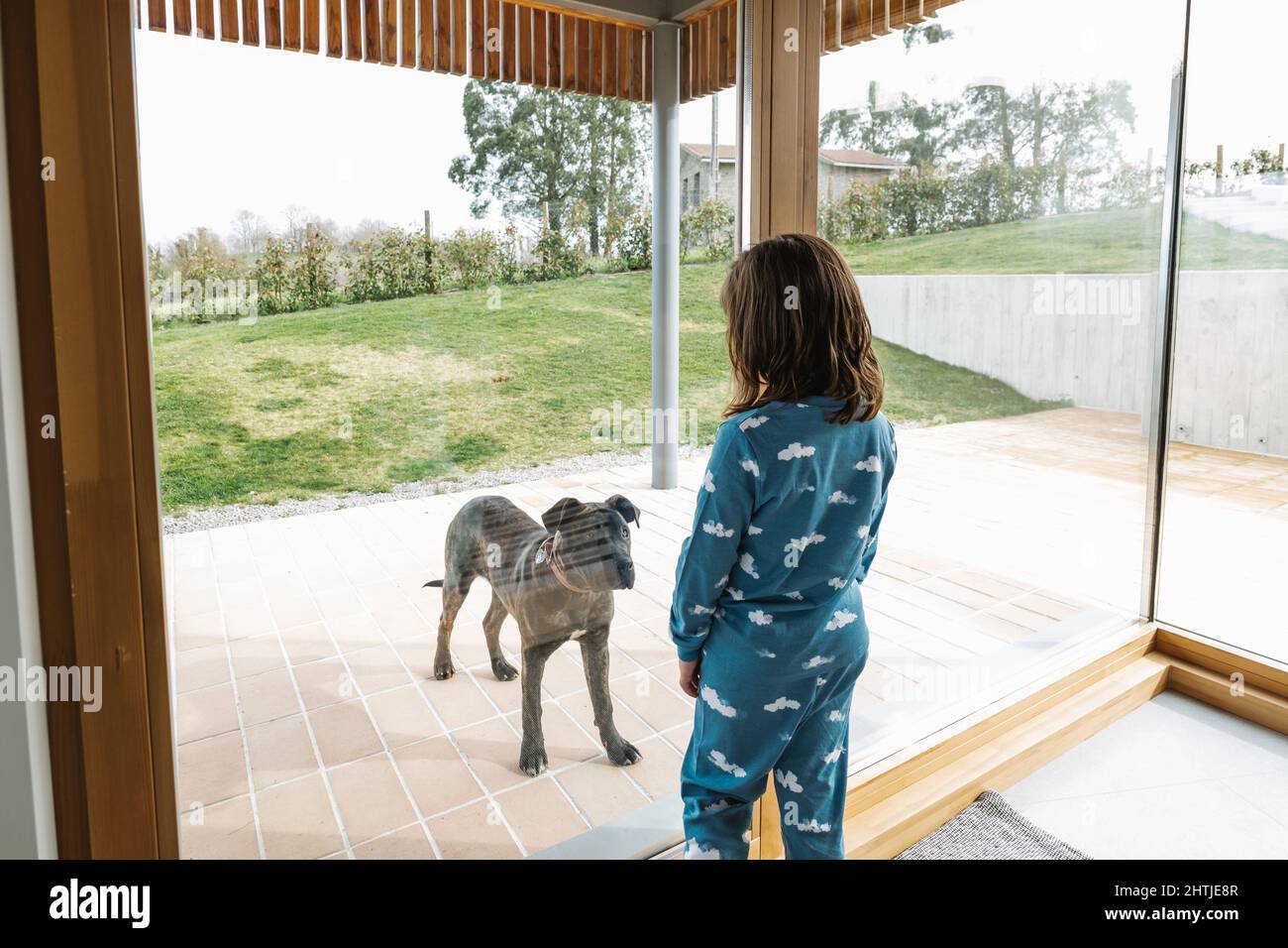 Vue arrière d'une fille en pajama jouant avec le joli Bull-terrier noir de Pit américain tout en se tenant près de la porte en verre dans la campagne avec pelouse verte Banque D'Images