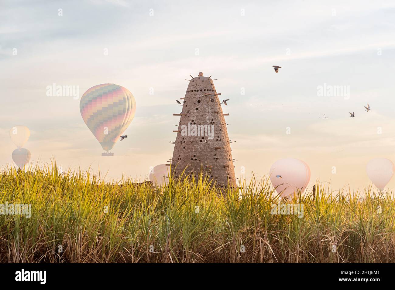 Tour de pigeon à ponte conique haut avec de nombreux trous situés sur un terrain herbeux avec des ballons d'air en Égypte le jour d'été Banque D'Images