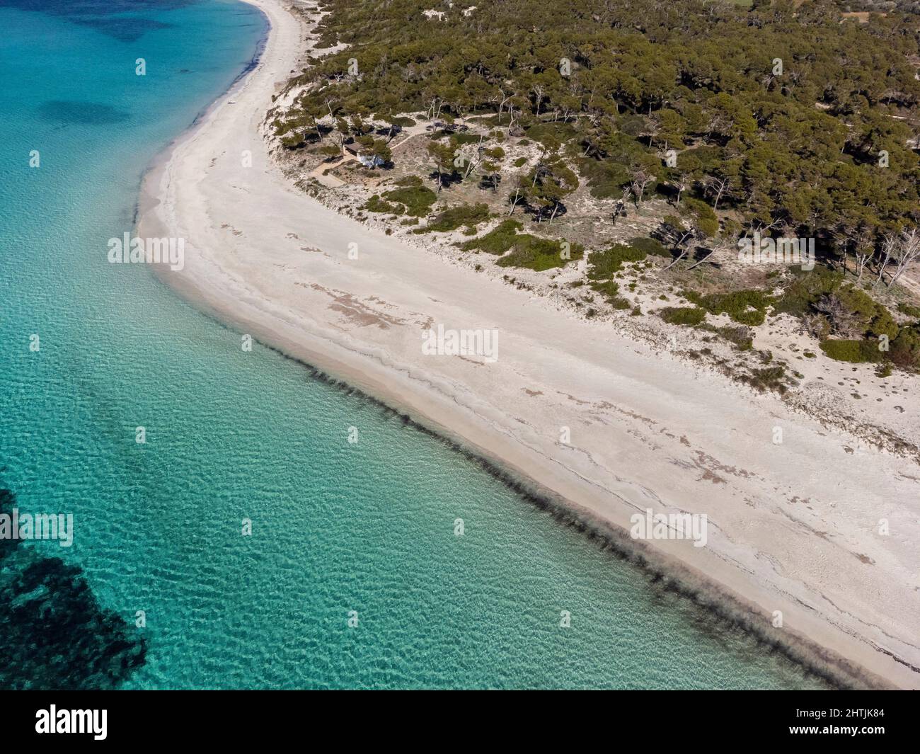 Plage es Carbo, plage de sable vierge sans personnes, Ses Salines, Majorque, Iles Baléares, Espagne Banque D'Images