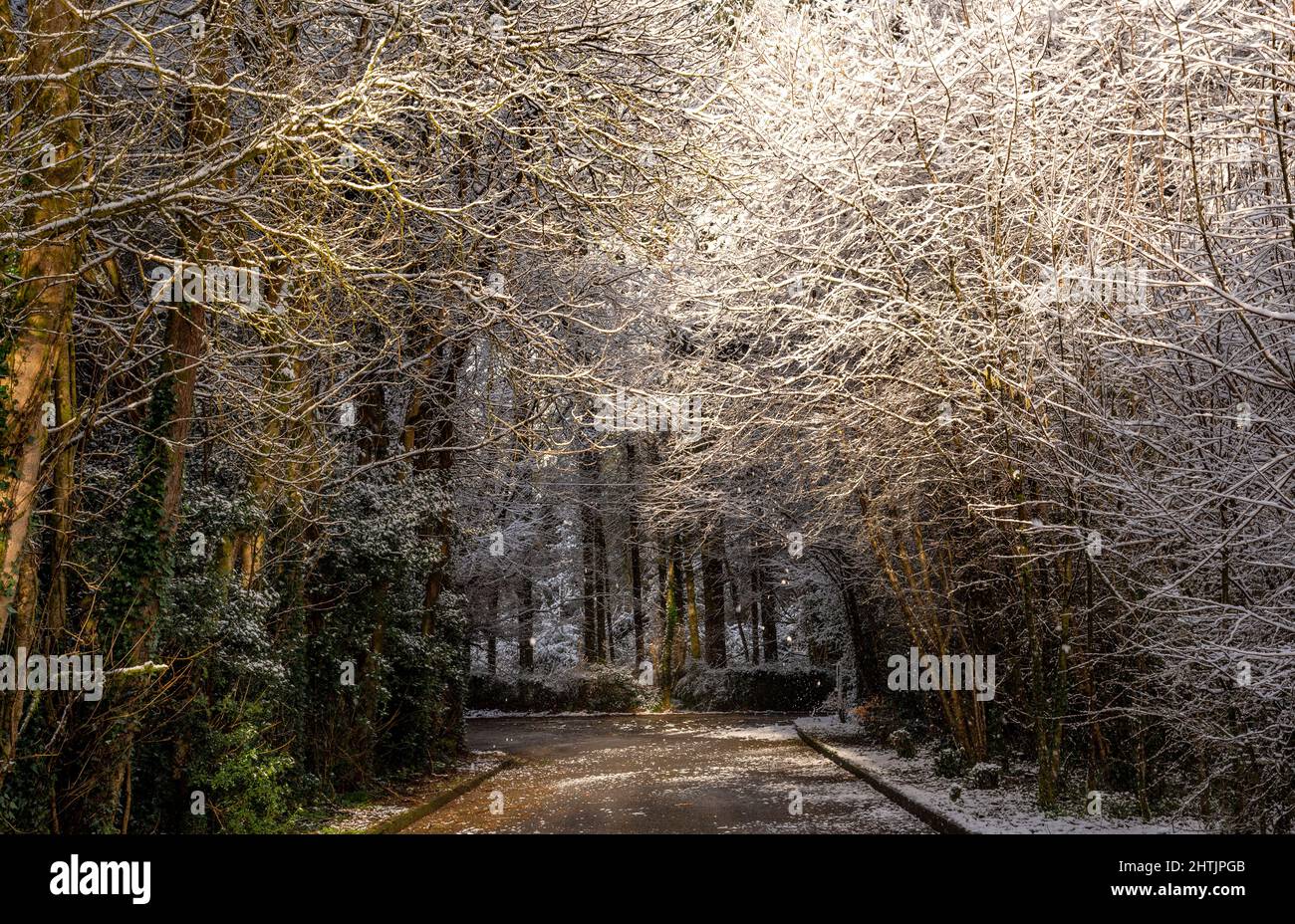 Belle journée d'hiver, Irlande, Cavan Banque D'Images