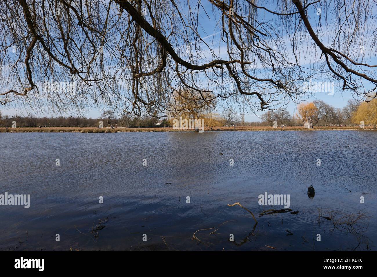 Le paysage de Bushy Park est une mosaïque d’histoire anglaise qui s’étend sur un millénaire : Vous pouvez voir les vestiges des systèmes agricoles médiévaux, l'héritage d'un parc de cerfs Tudor, les jardins aquatiques du 17th siècle et les éléments décoratifs représentant le goût néoclassique, et les traces de camps militaires qui ont joué un rôle remarquable dans les guerres mondiales. Banque D'Images