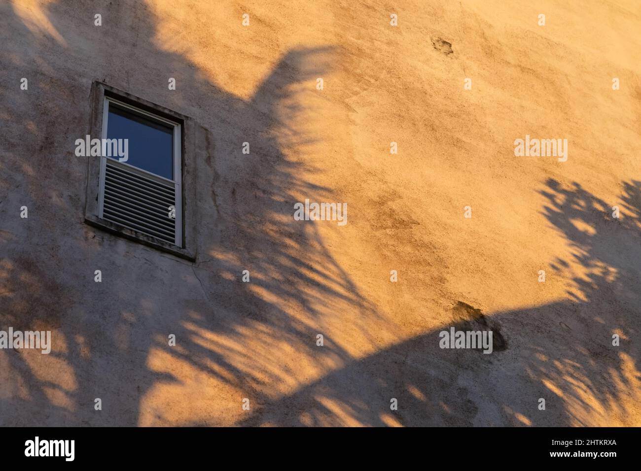 Ombres des palmiers sur le vieux mur jaune avec petite fenêtre Banque D'Images