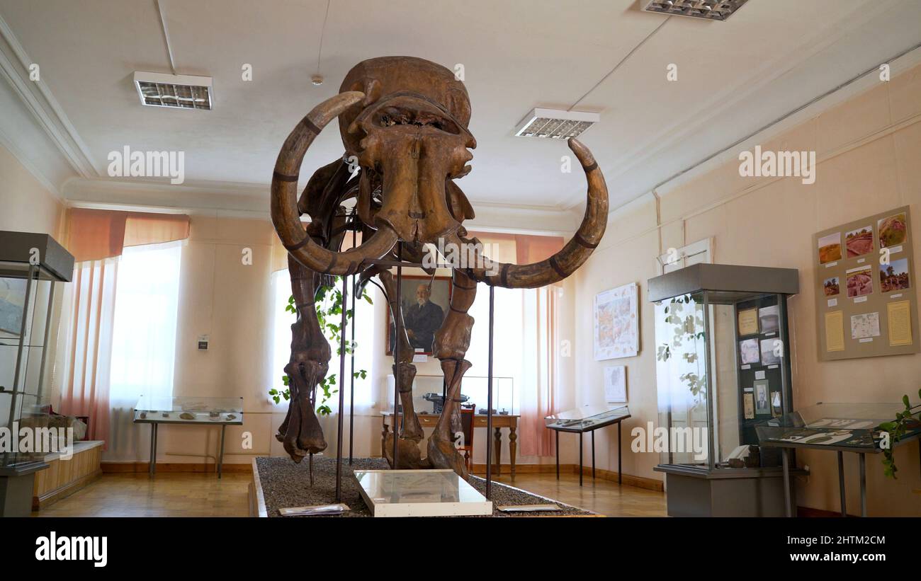 Penza Regional History Museum, Russie 20 mai 2021 os de mammouth — free download