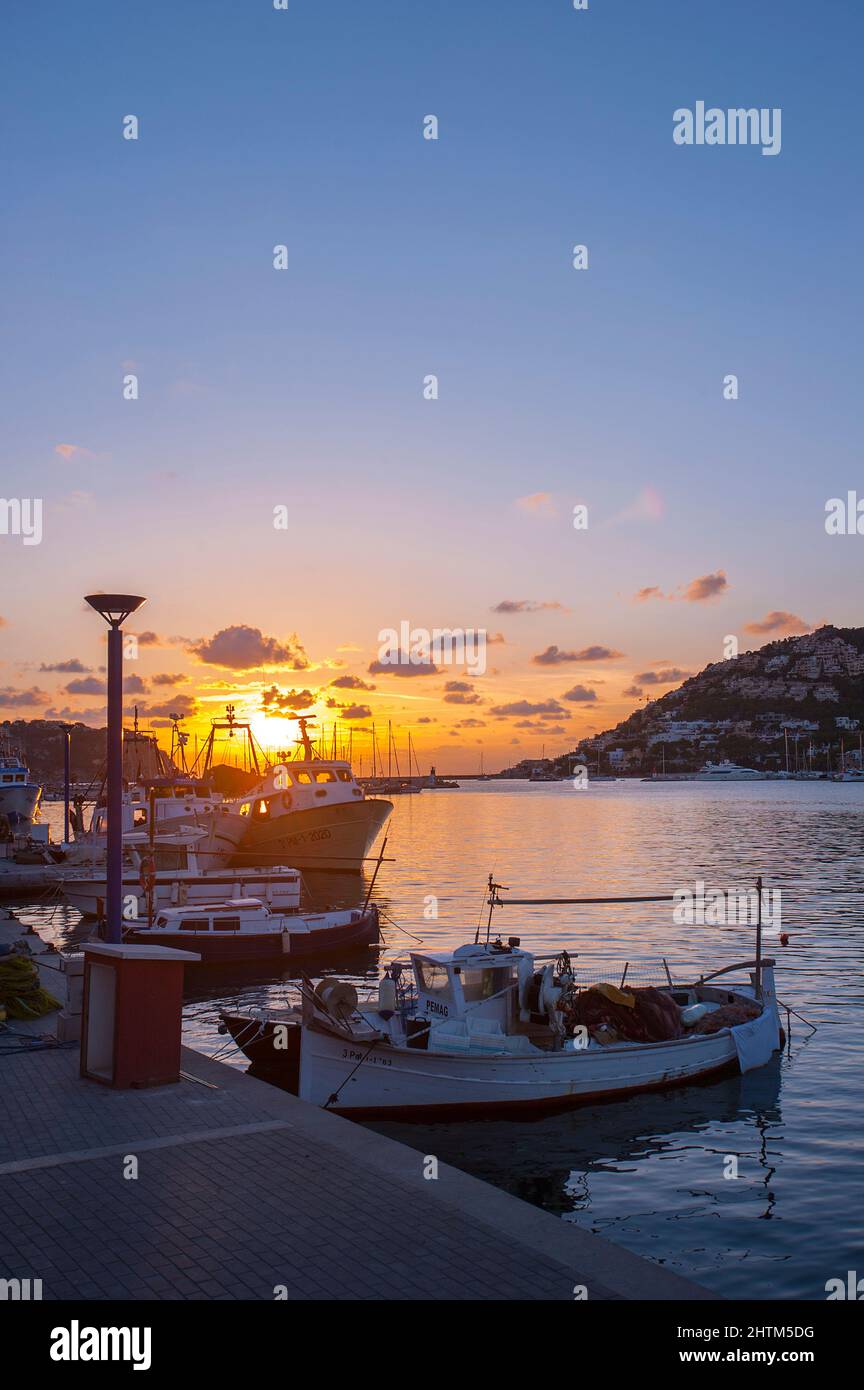 Port Andratx, Majorque, Iles Baléares, Espagne Banque D'Images