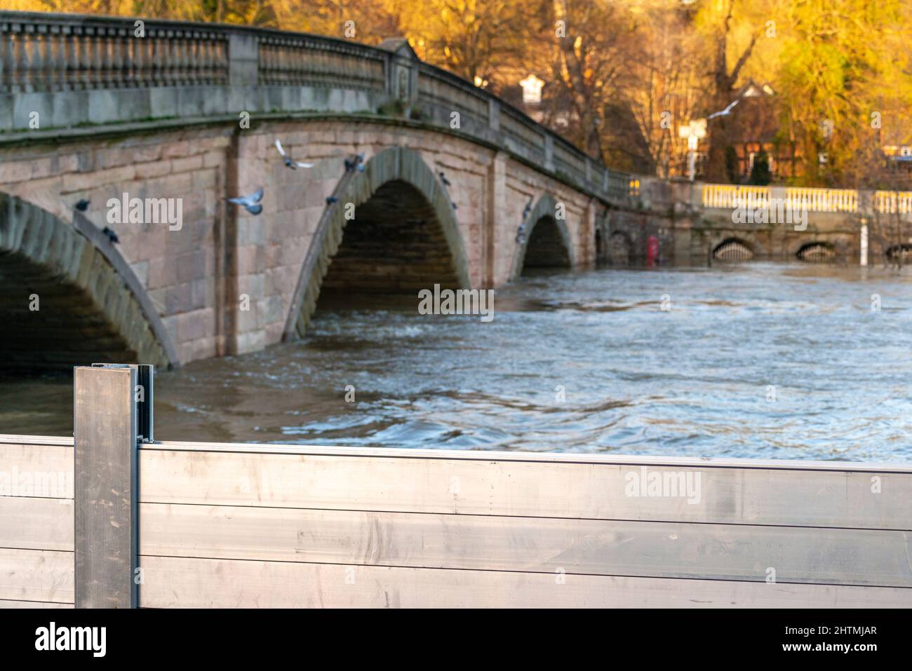 Le pont Bewdley et au-delà, les niveaux d'eau de rivière très élevés, les longues étendues d'écrans de défense en métal et les barrières d'inondation sont érigées des deux côtés de la riv Banque D'Images