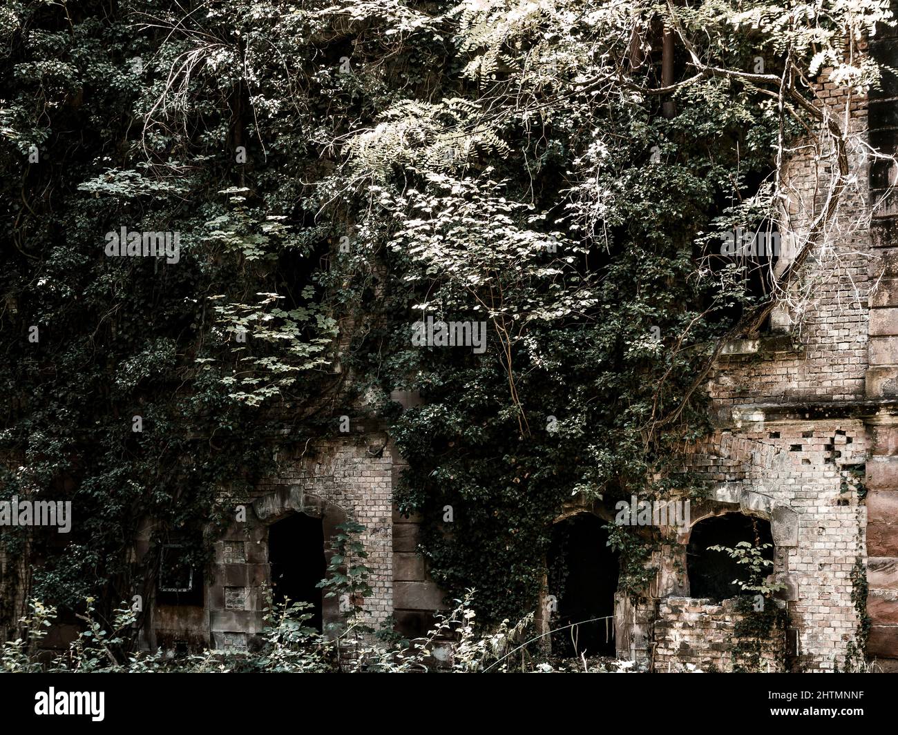 Vieux forts de la ligne défensive Maginot près de Strasbourg. Fortifications détruites et surcultivées en forêt. France Banque D'Images