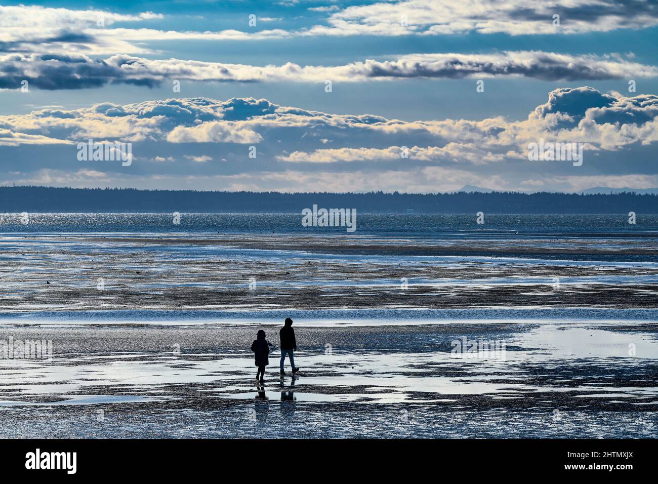 Marée basse, Crescent Beach, Surrey (Colombie-Britannique), Canada Banque D'Images