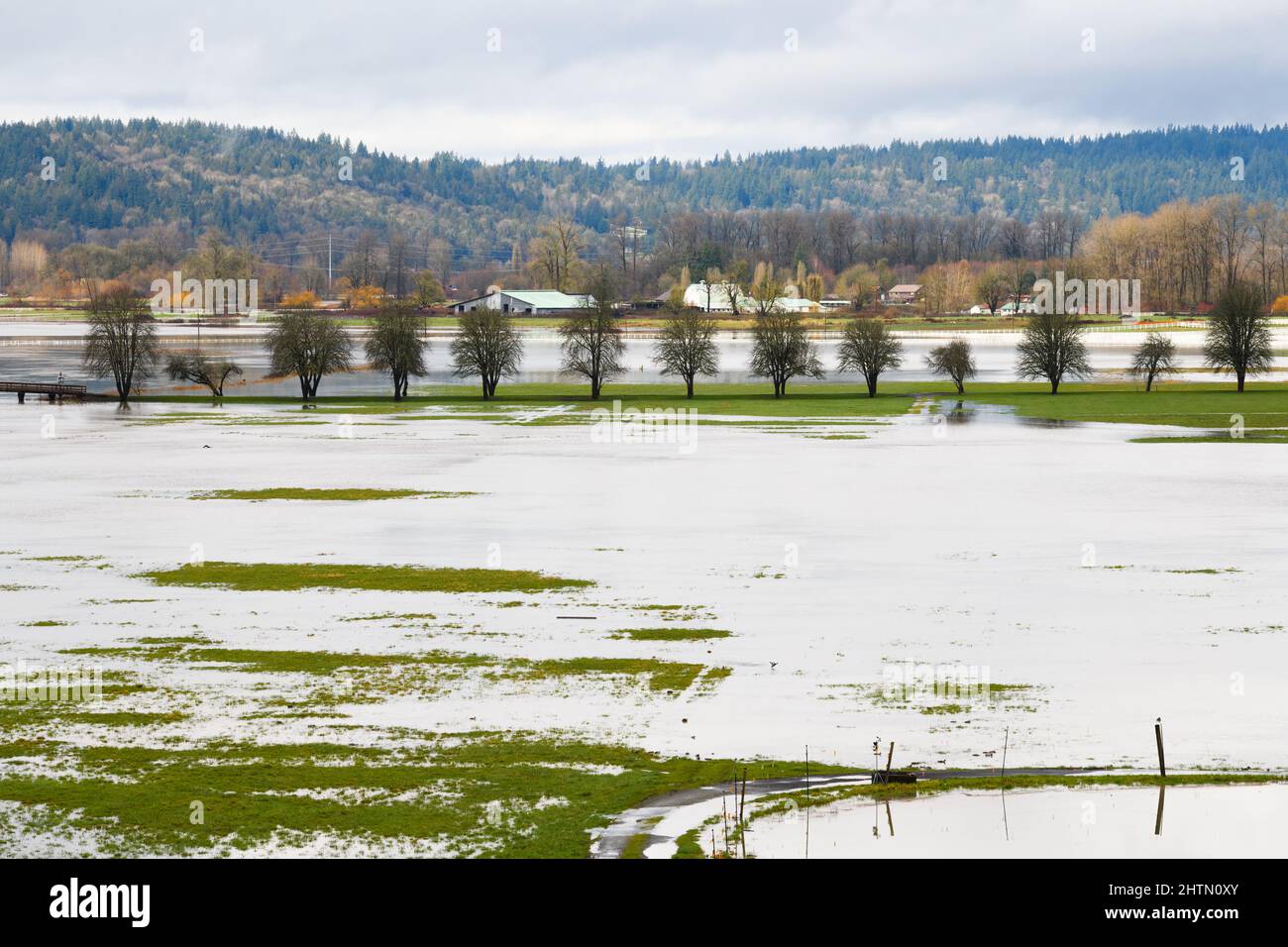 Vue sur les terres agricoles inondées dans la vallée de Snoqualmie, dans la banlieue en expansion de Seattle de Carnation Banque D'Images