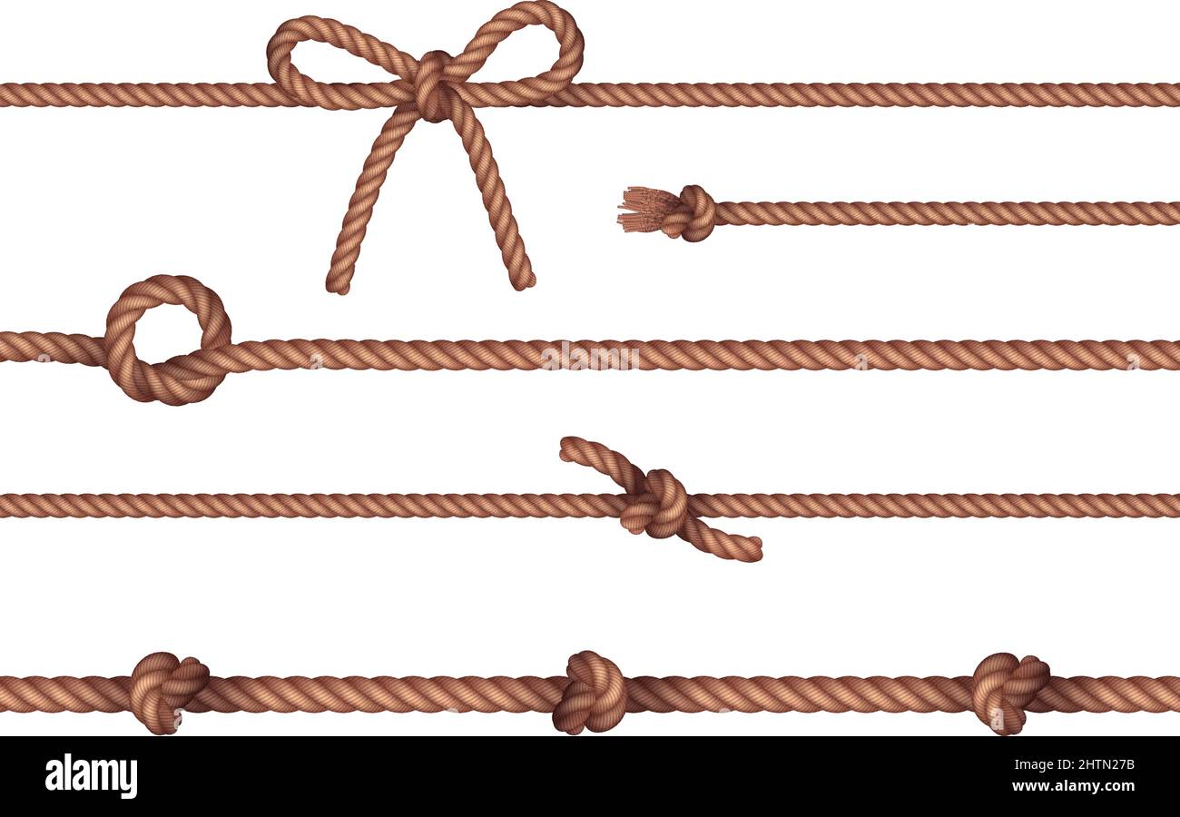 Cordelettes droites naturelles durables avec nœuds simples Lashings horizontal set décoratif motif de bordure illustration vectorielle Illustration de Vecteur