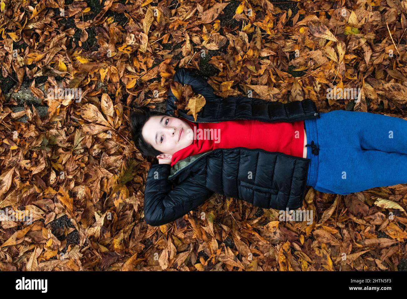 Garçon allongé dans un tas de feuilles d'automne Banque D'Images