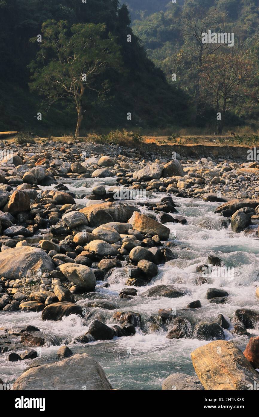 collines de l'himalaya et paysage pittoresque de la région de terai, inde Banque D'Images