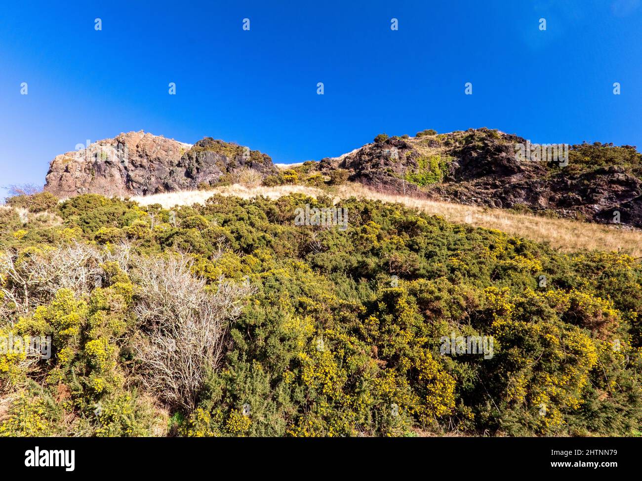 Découvrez une partie d'Arthur Seat, Édimbourg, Écosse, Royaume-Uni Banque D'Images